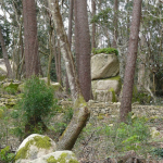 p1220757